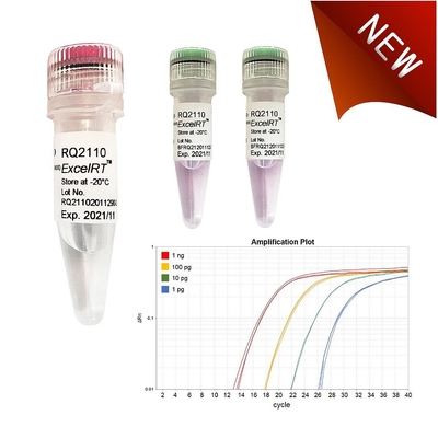 รีเอเจนต์ทางชีวเคมี No Rox QPCR Mix 1000 X 20ul Reactions Accuris QMax Green