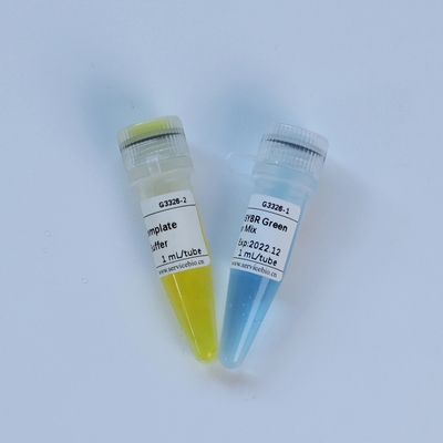 Universal TaqMan Multiplex QPCR Master Mix รีเอเจนต์ชีวเคมี