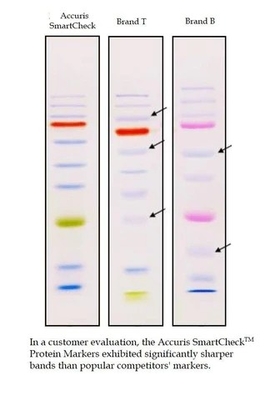 โหลดโดยตรง Color Prestained Protein Marker 10-180kDa รีเอเจนต์ทางชีวเคมี