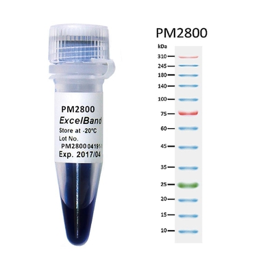11 แถบ 9-180KDA เครื่องหมายโปรตีนช่วงสูงสีน้ำเงิน 2x250ul 3 สี 25-300kDa