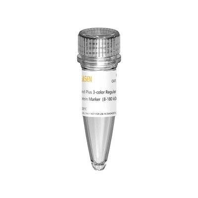 III 12-190KDa Prestained Protein Marker Ladder สำหรับเจลอิเล็กโทรโฟรีซิส