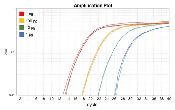 รีเอเจนต์ทางชีวเคมี No Rox QPCR Mix 1000 X 20ul Reactions Accuris QMax Green