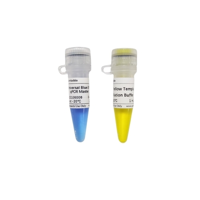 2 × Universal Blue GSK Green QPCR Master Mix พร้อมบัฟเฟอร์เจือจางเทมเพลตสีเหลือง 40 ×