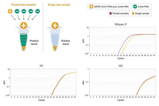 Universal TaqMan Multiplex QPCR Master Mix รีเอเจนต์ชีวเคมี