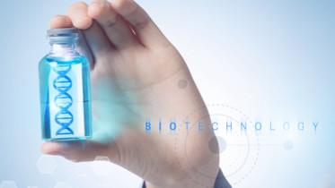 การวิจัยใช้ Quick T4 DNA Ligase 400 U/UL Biochemical Reagent