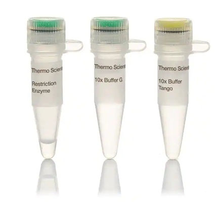 การย่อย DNA อย่างรวดเร็ว 5-15 นาทีเอนไซม์ BsaI Biochemical Reagent CE Approved